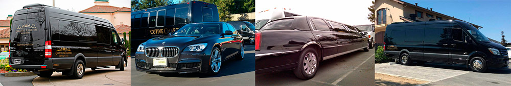 Limousine Rentals - Executive Charters & Limousine of Sonoma County